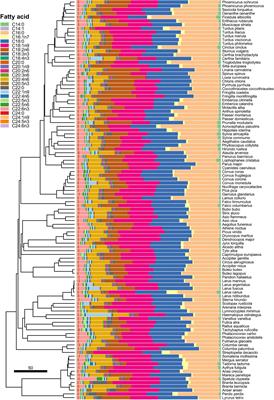 No Evidence for Trade-Offs Between Lifespan, Fecundity, and Basal Metabolic Rate Mediated by Liver Fatty Acid Composition in Birds